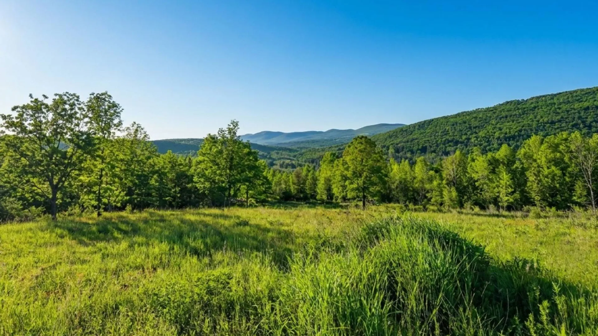 Property at L10.10 Cheese Hill Rd, Rensselaerville, NY 12469 51