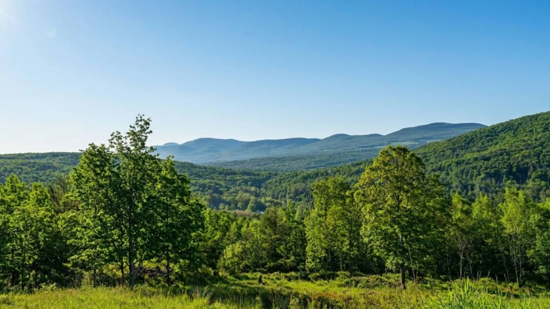 Property at L10.10 Cheese Hill Rd, Rensselaerville, NY 12469 52