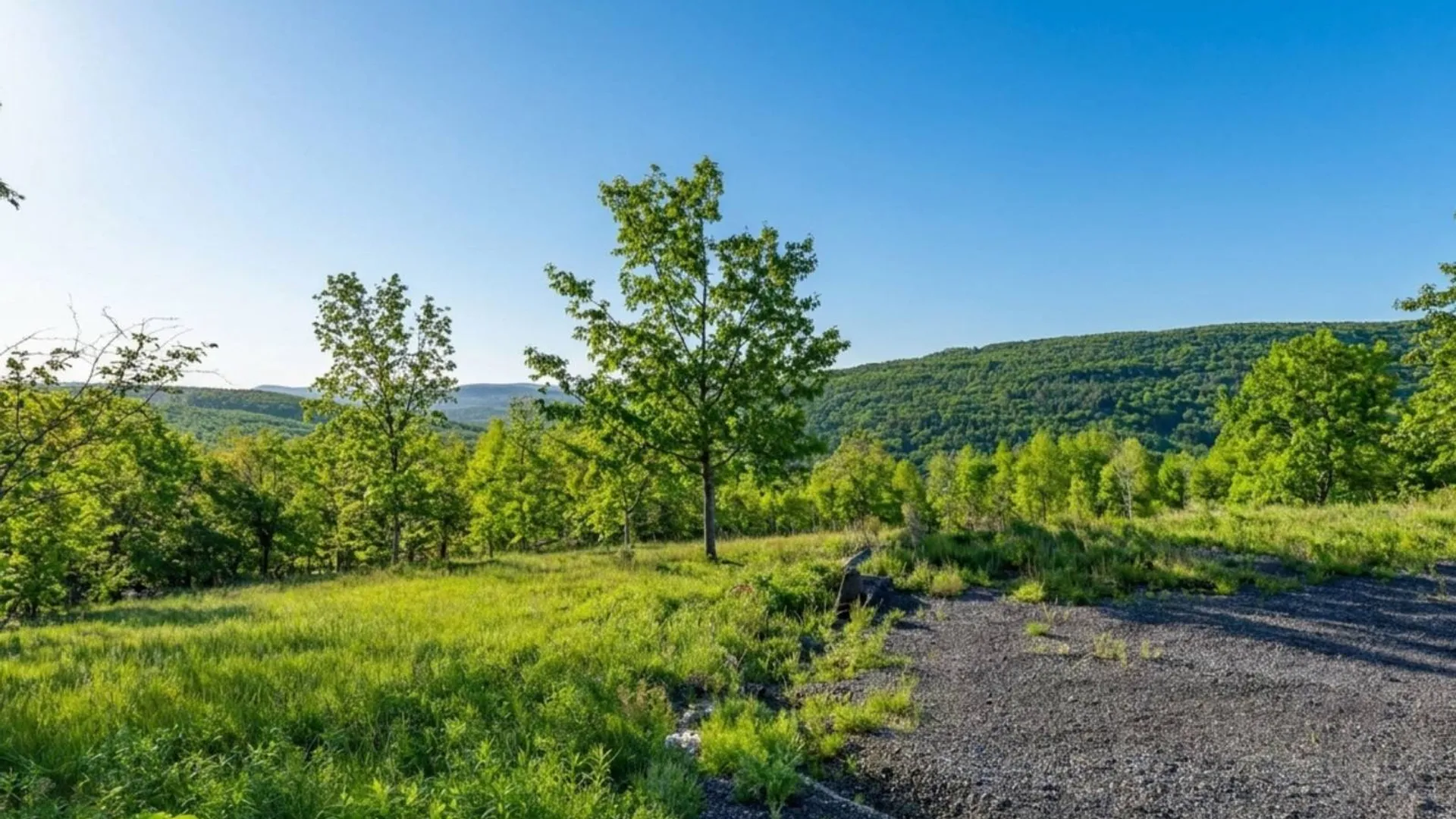 Property at L10.10 Cheese Hill Rd, Rensselaerville, NY 12469 54