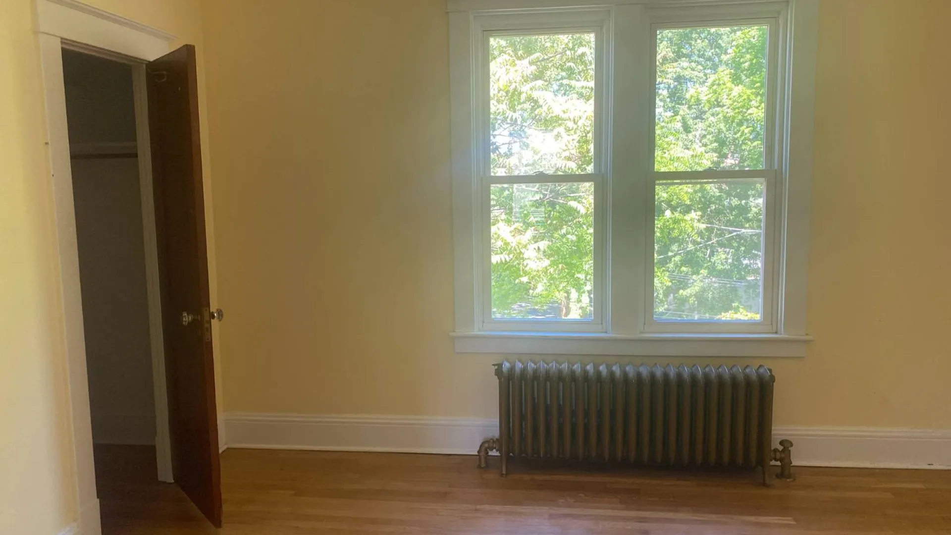 Property at 517 New Scotland Ave, Albany, NY 12208 4