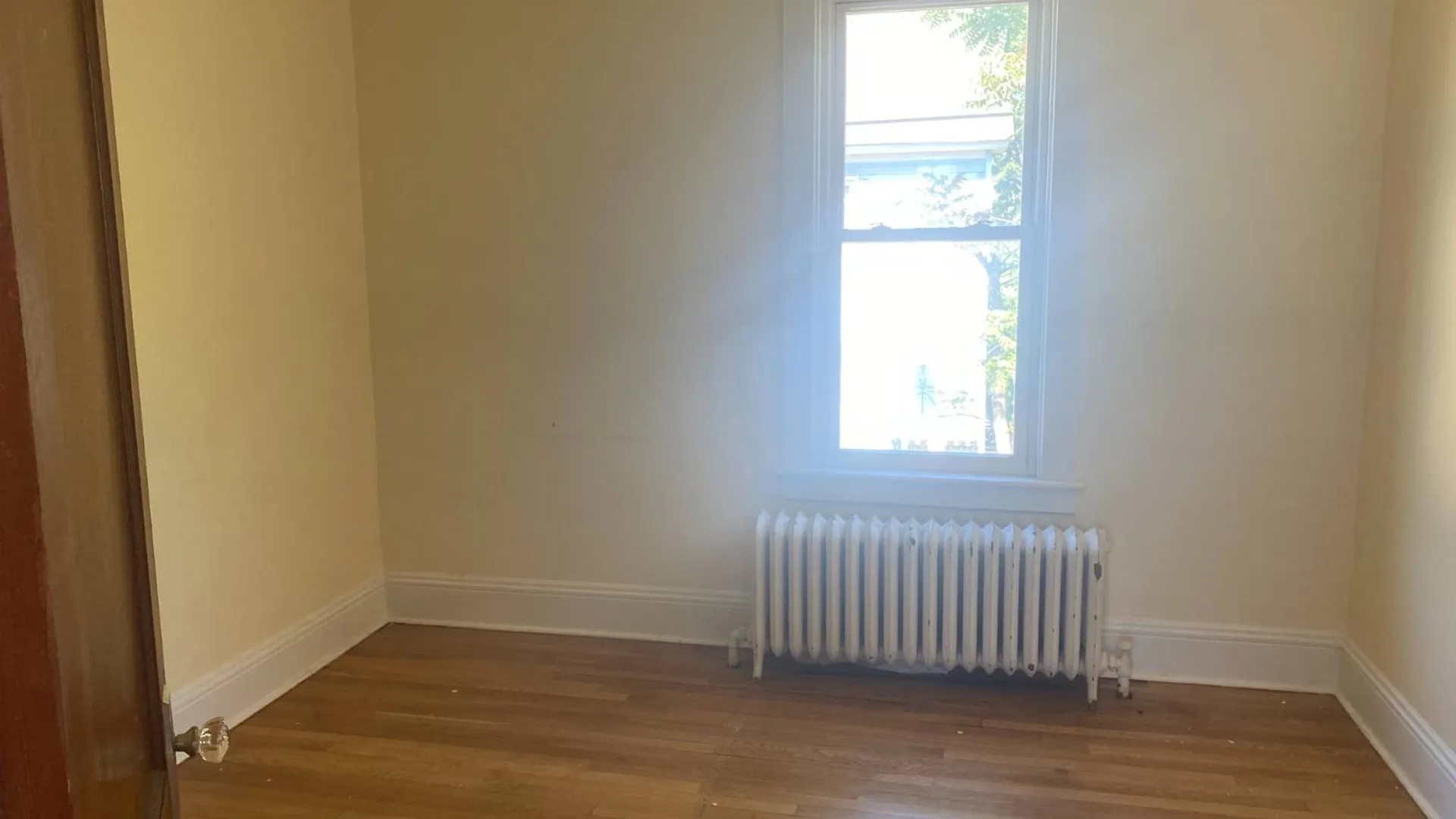Property at 517 New Scotland Ave, Albany, NY 12208 5