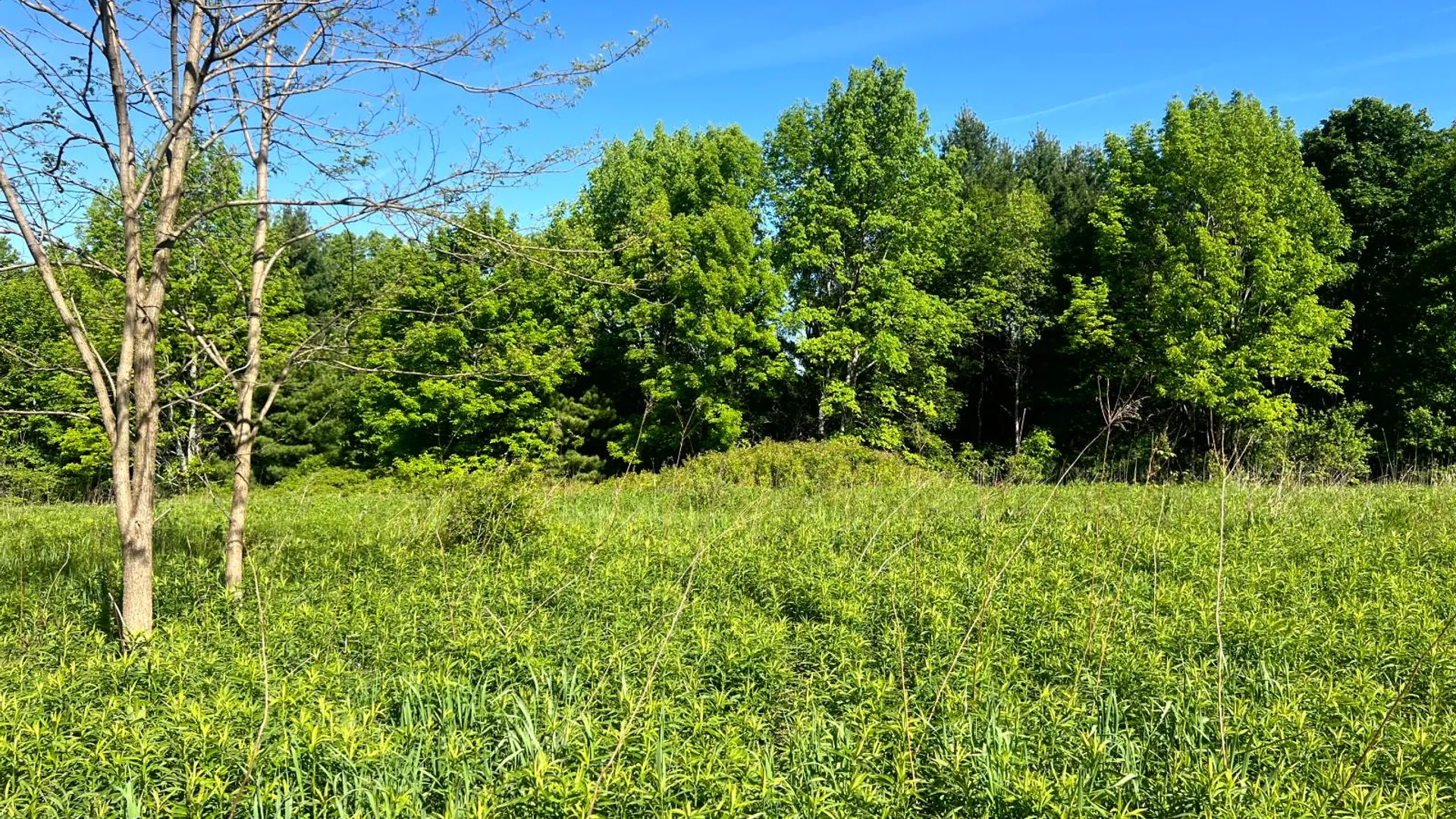 Property at Lot 3 Mooretown Road, Pittsfield, NY 13411 11