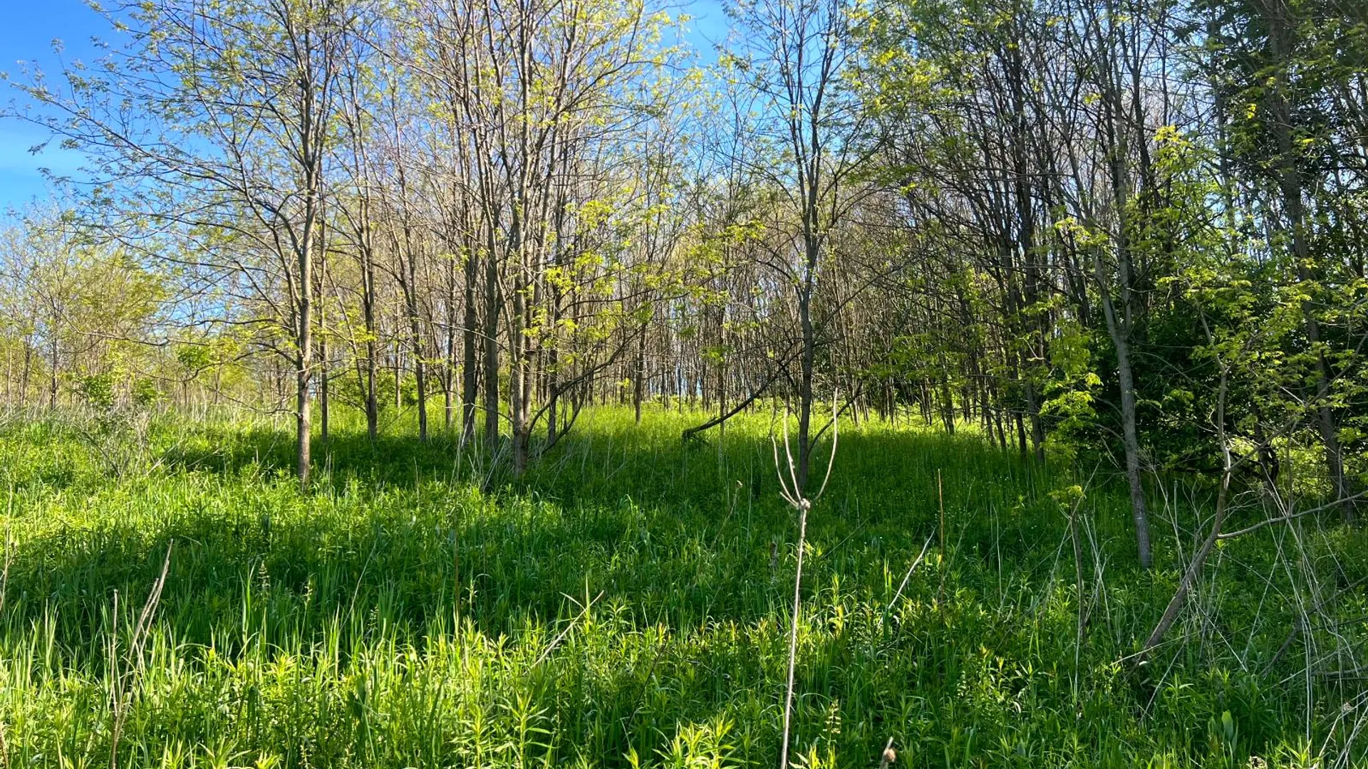 Property at Lot 3 Mooretown Road, Pittsfield, NY 13411 15