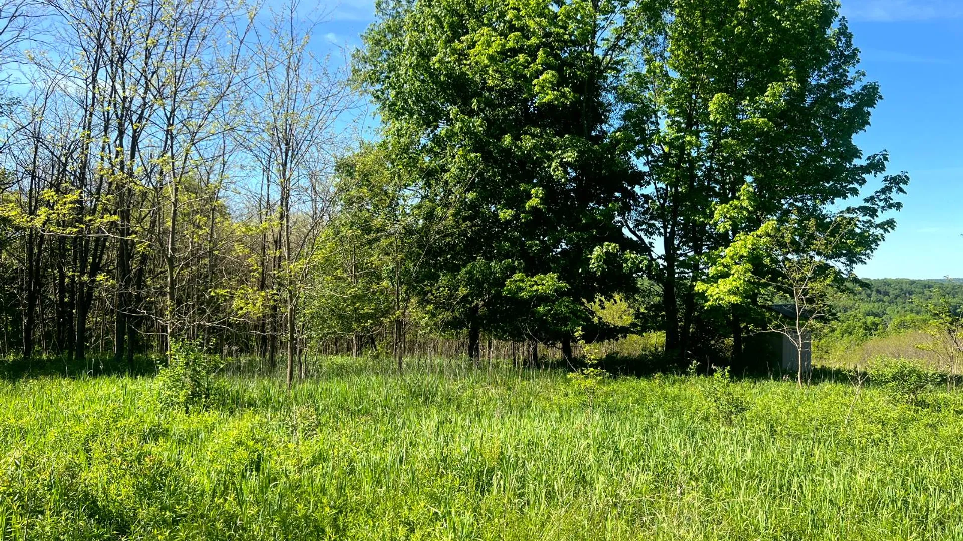Property at Lot 3 Mooretown Road, Pittsfield, NY 13411 16
