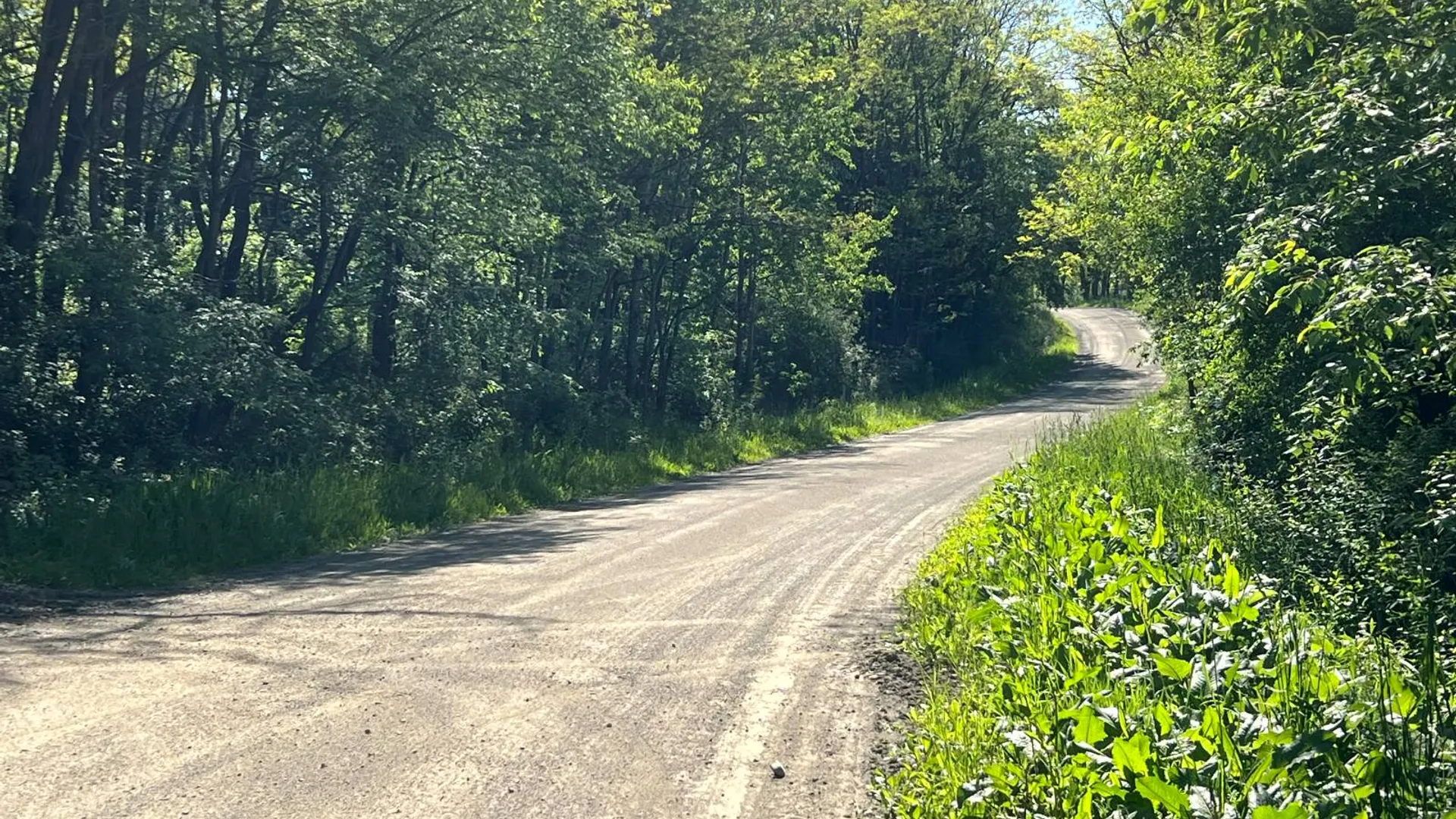 Property at Lot 3 Mooretown Road, Pittsfield, NY 13411 17