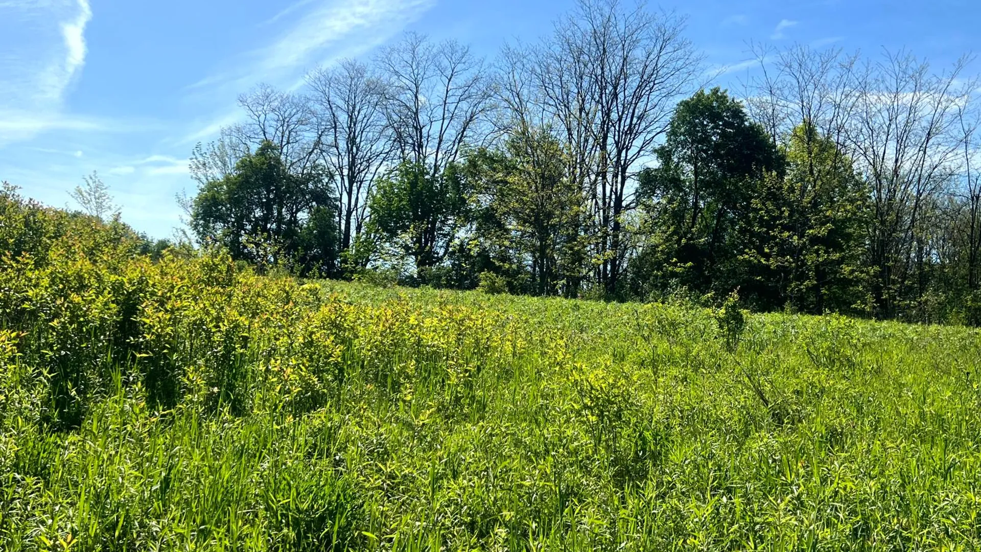 Property at Lot 3 Mooretown Road, Pittsfield, NY 13411 18