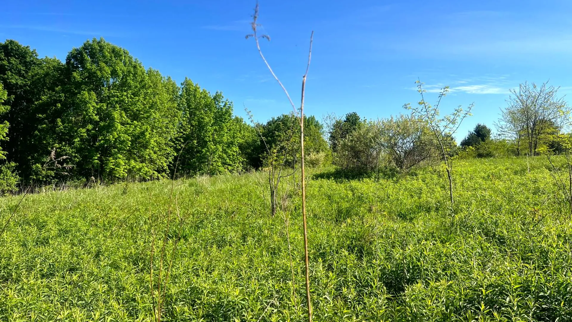Property at Lot 3 Mooretown Road, Pittsfield, NY 13411 19