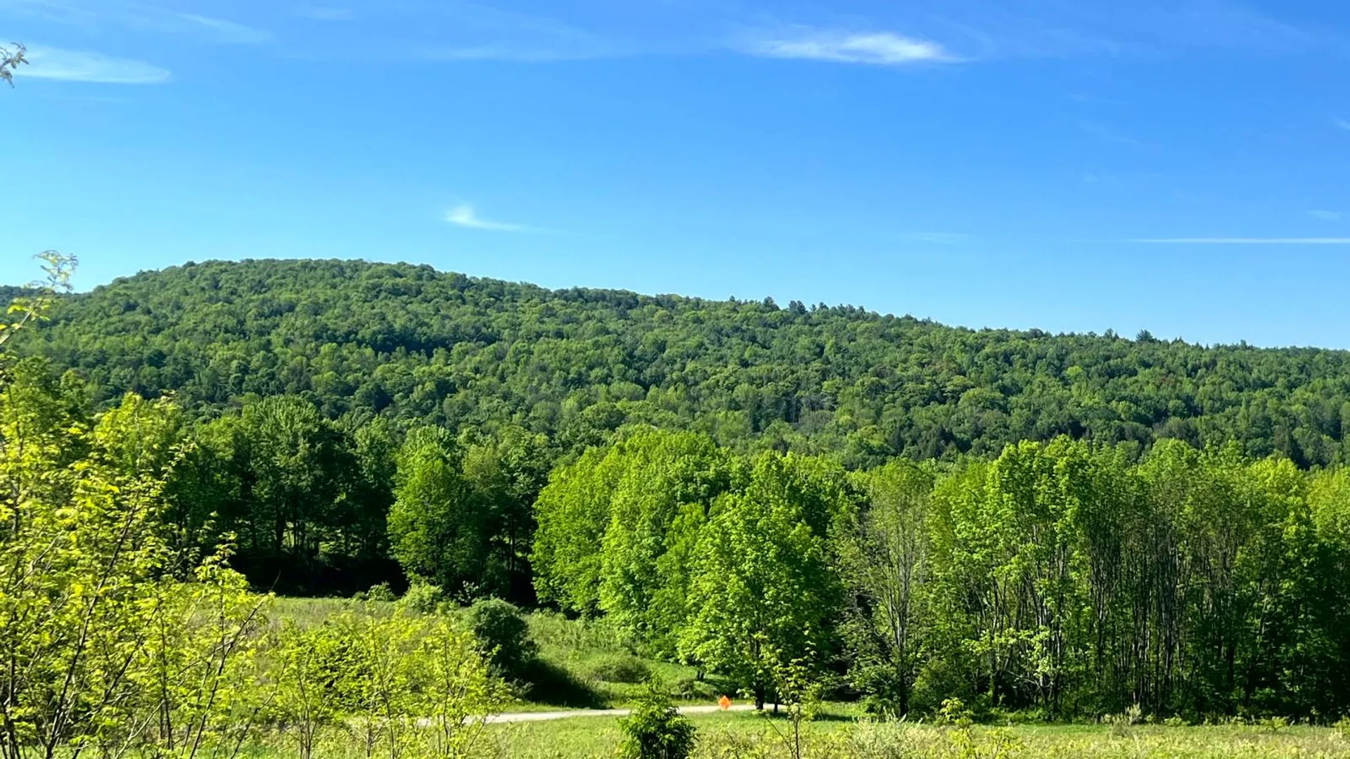 Property at Lot 3 Mooretown Road, Pittsfield, NY 13411 2