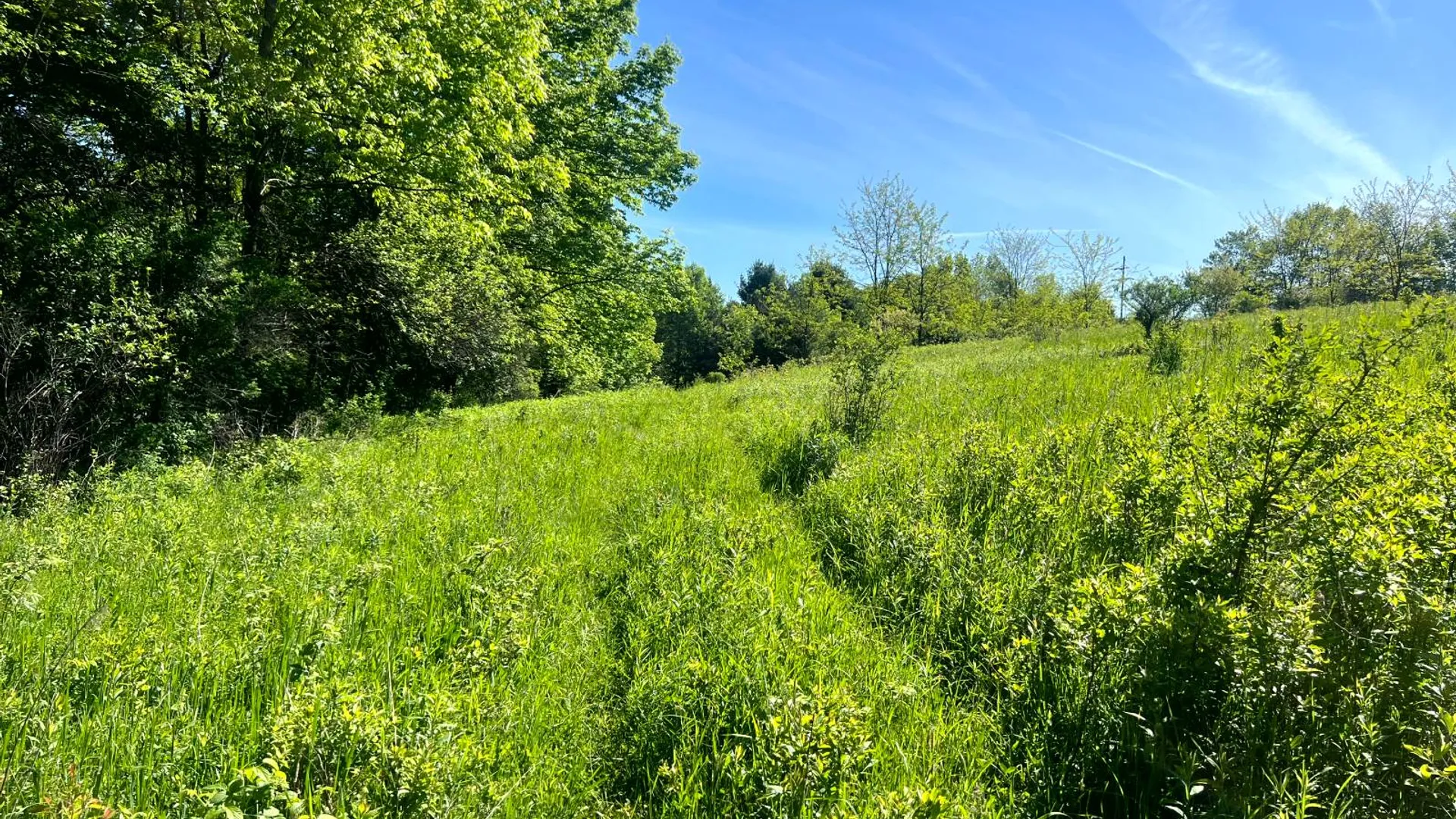 Property at Lot 3 Mooretown Road, Pittsfield, NY 13411 20