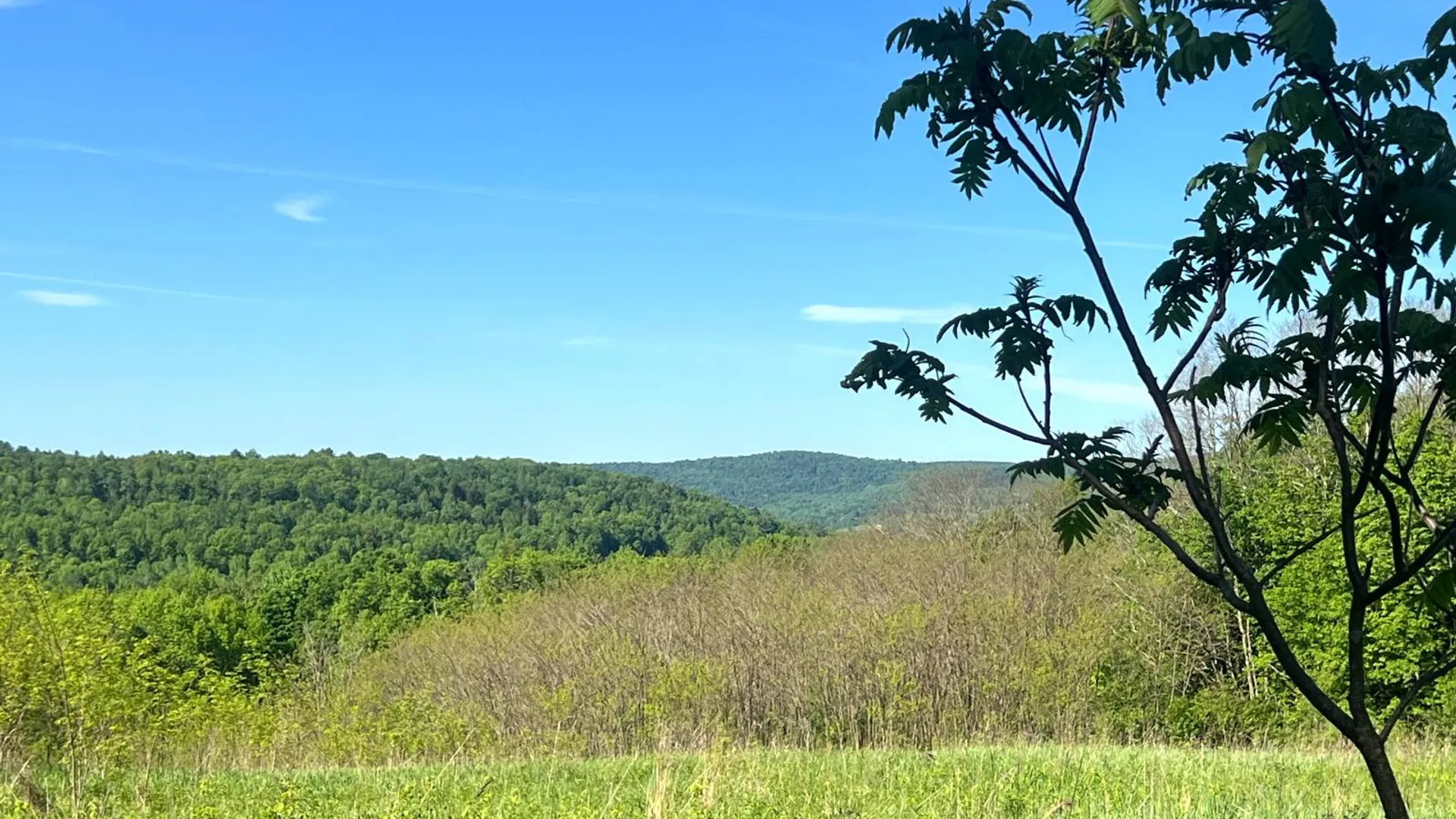 Property at Lot 3 Mooretown Road, Pittsfield, NY 13411 23