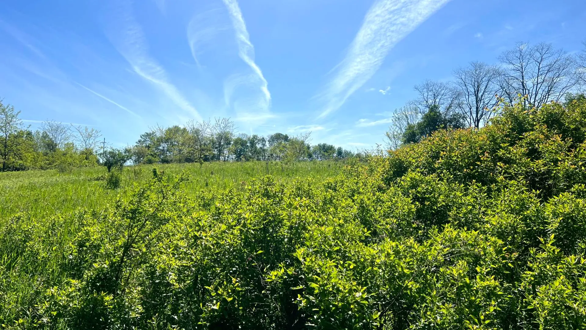 Property at Lot 3 Mooretown Road, Pittsfield, NY 13411 24