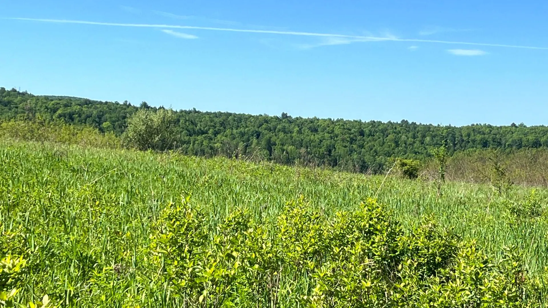 Property at Lot 3 Mooretown Road, Pittsfield, NY 13411 25