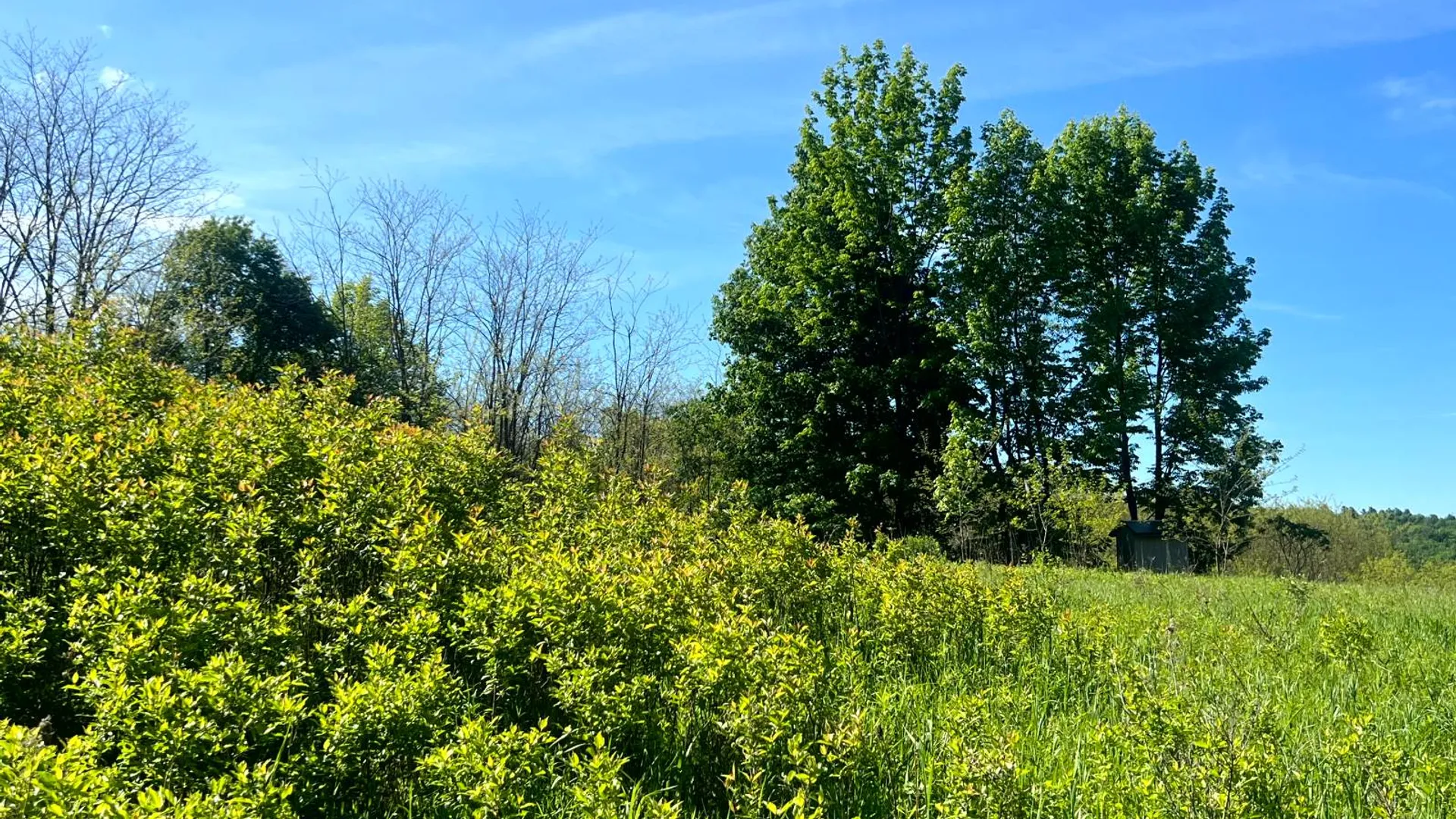 Property at Lot 3 Mooretown Road, Pittsfield, NY 13411 26