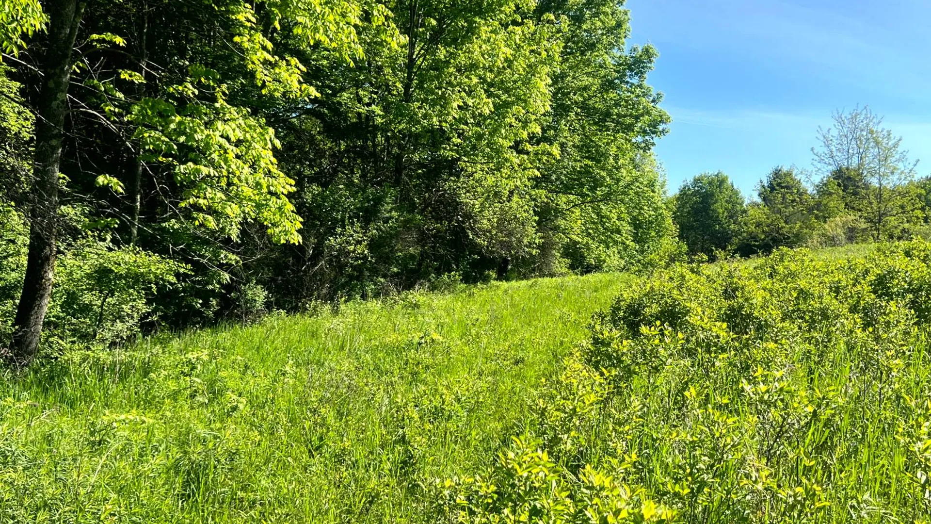 Property at Lot 3 Mooretown Road, Pittsfield, NY 13411 28