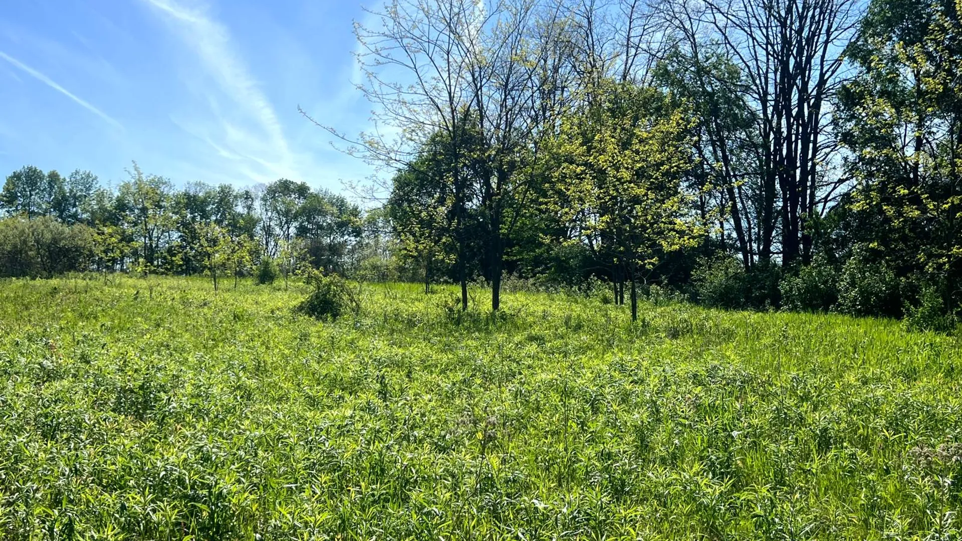 Property at Lot 3 Mooretown Road, Pittsfield, NY 13411 29