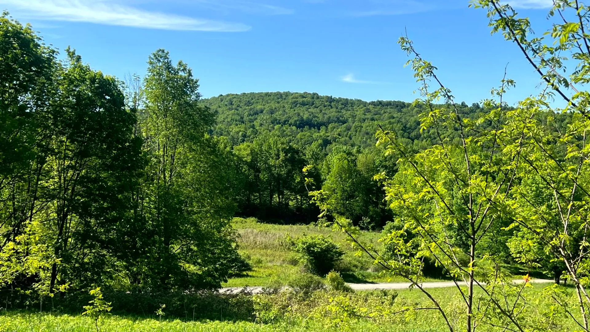 Property at Lot 3 Mooretown Road, Pittsfield, NY 13411 3