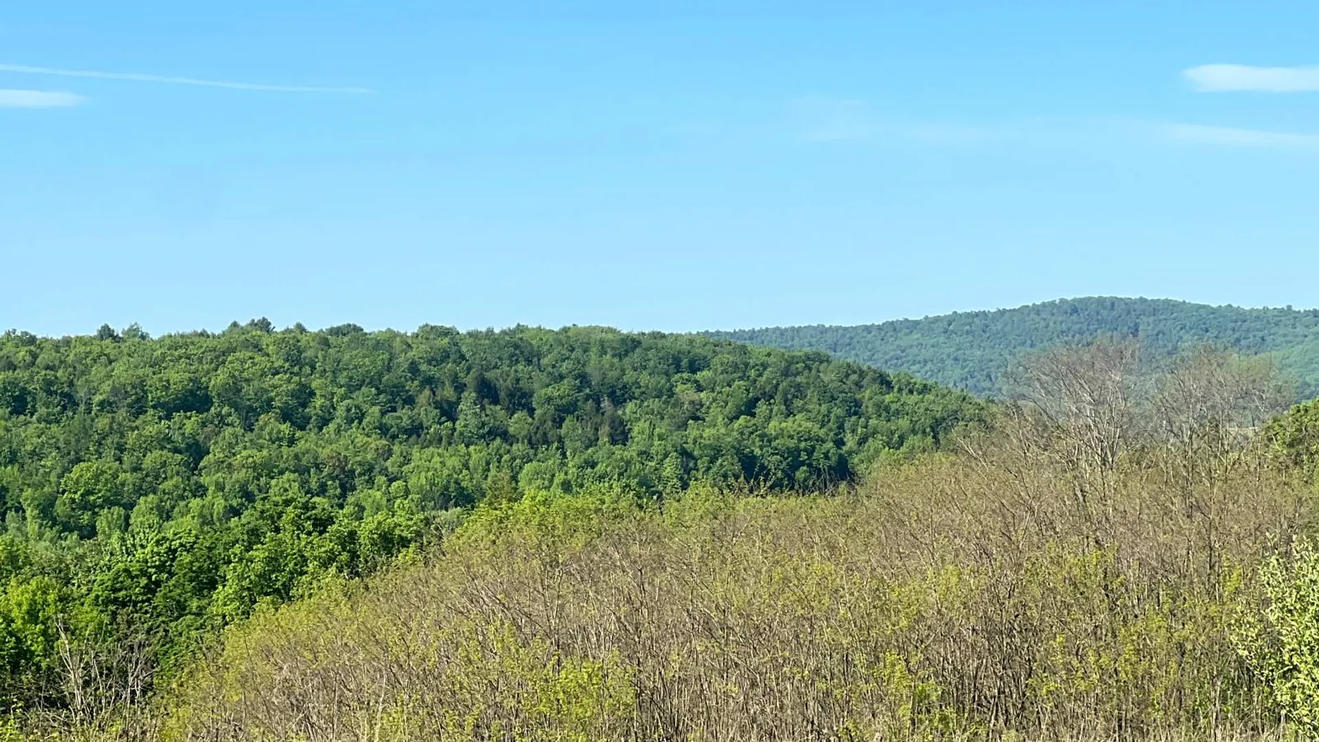 Property at Lot 3 Mooretown Road, Pittsfield, NY 13411 30