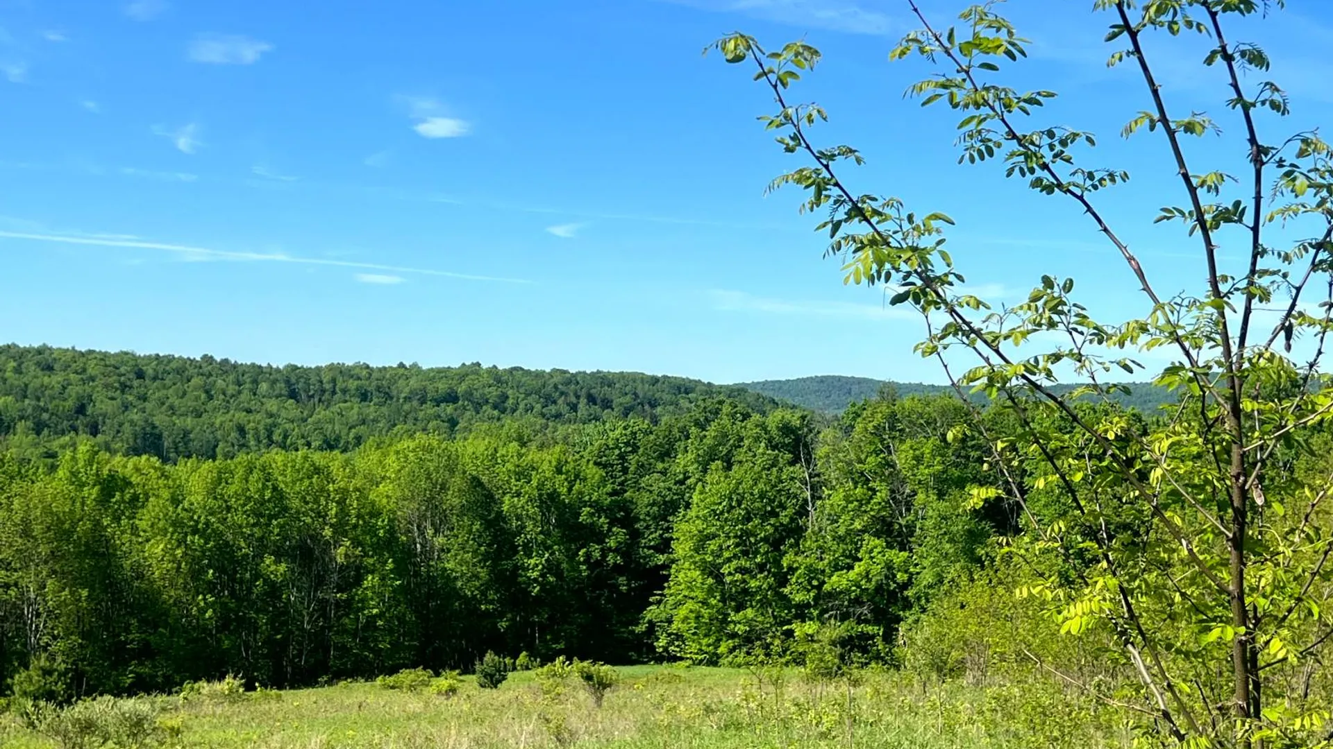 Property at Lot 3 Mooretown Road, Pittsfield, NY 13411 31