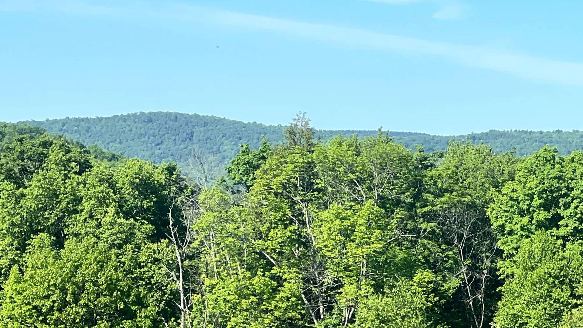 Property at Lot 3 Mooretown Road, Pittsfield, NY 13411 32