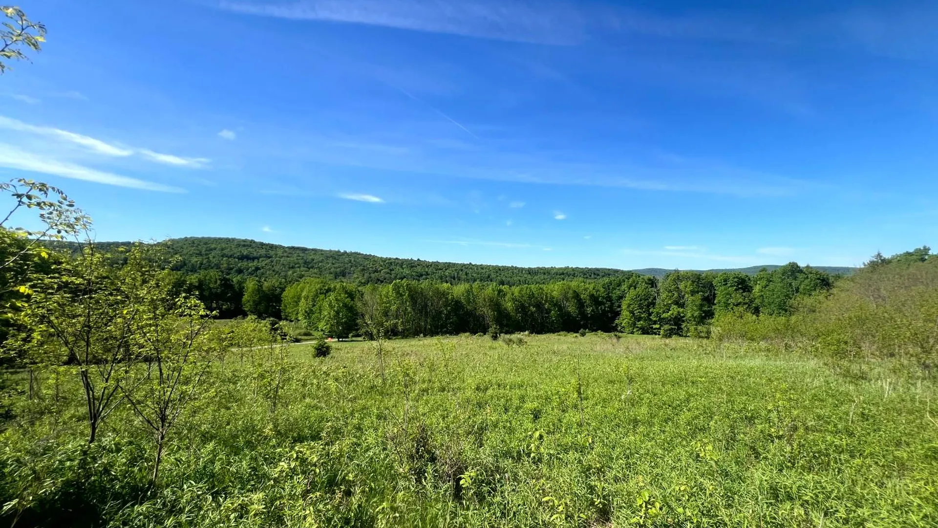 Property at Lot 3 Mooretown Road, Pittsfield, NY 13411 5