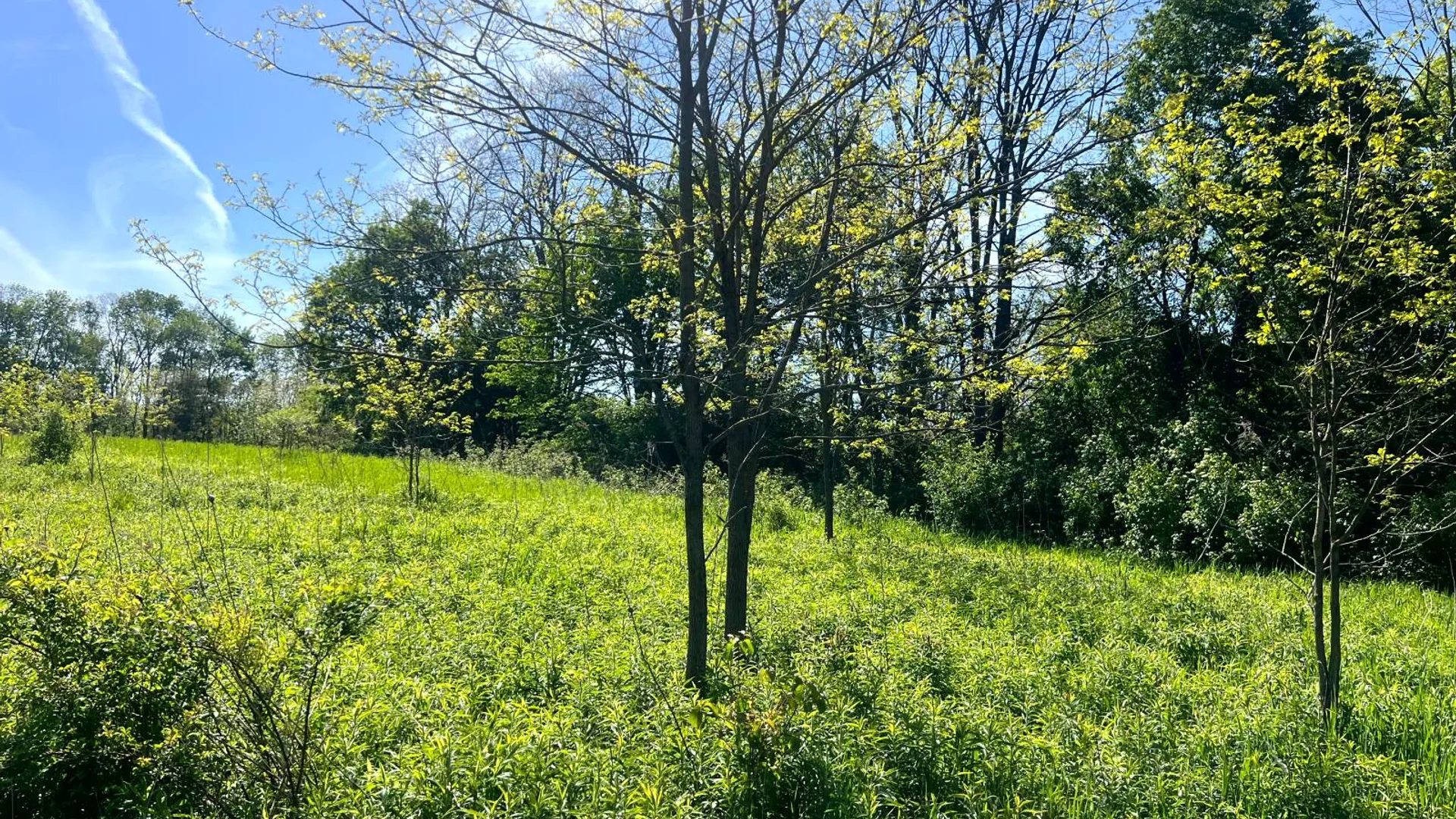 Property at Lot 3 Mooretown Road, Pittsfield, NY 13411 7