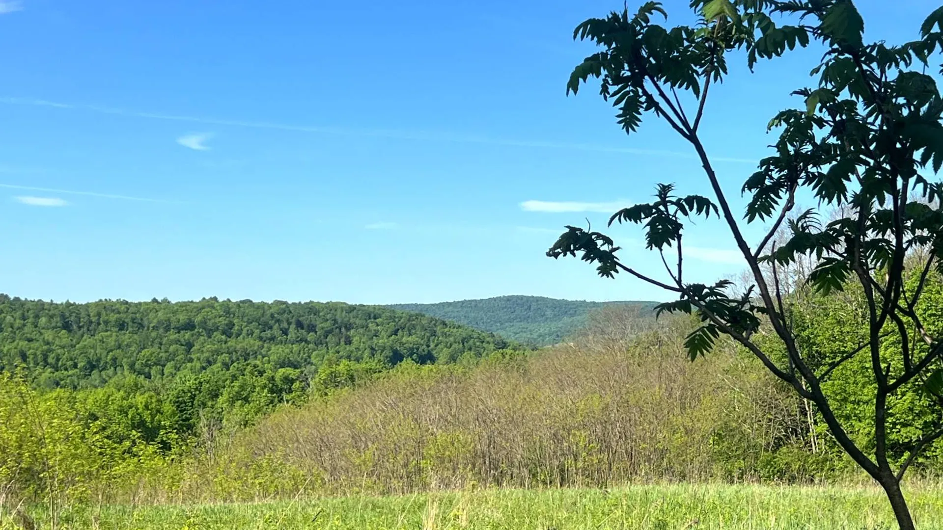Property at Lot 3 Mooretown Road, Pittsfield, NY 13411 8