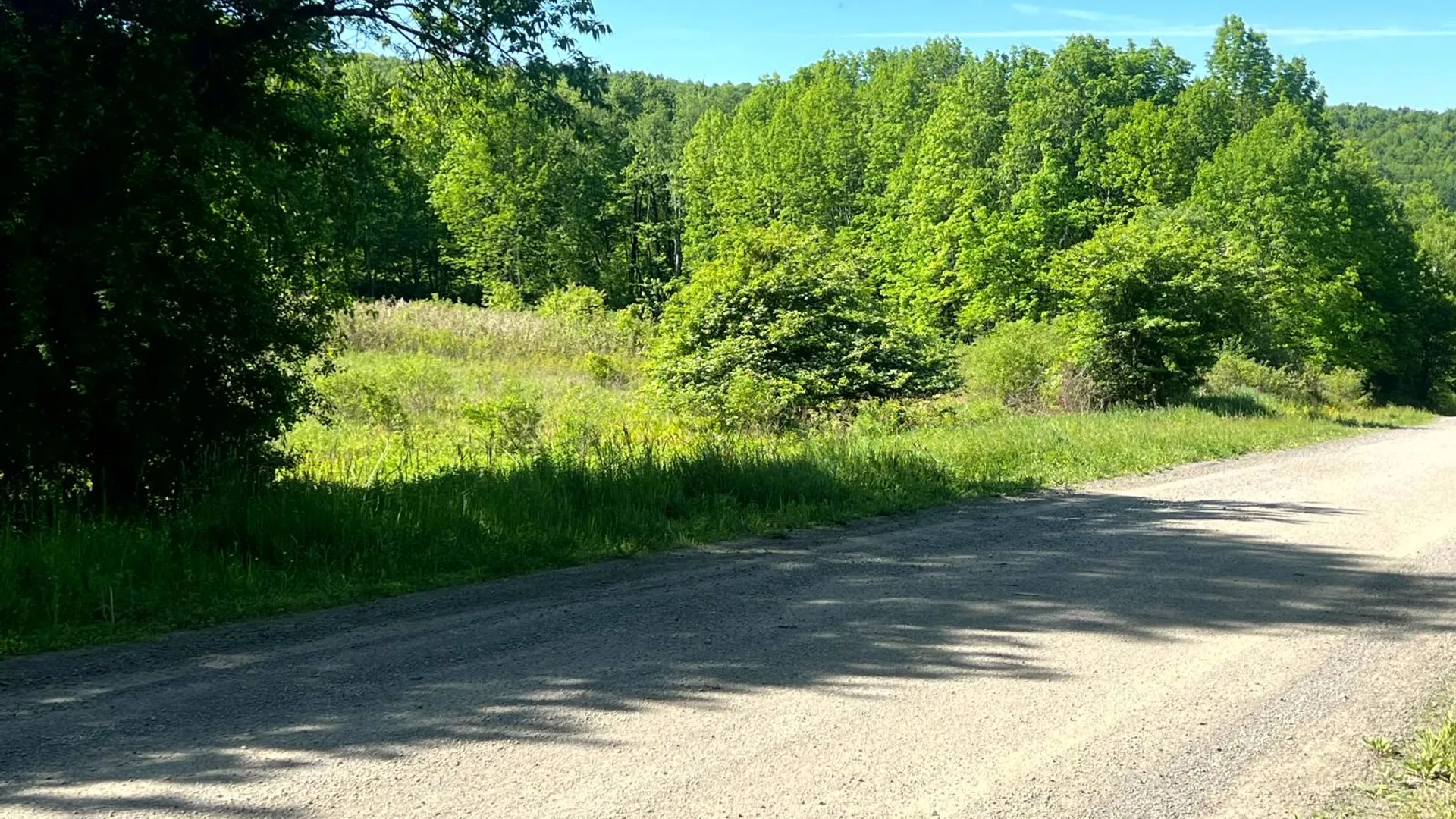 Property at Lot 3 Mooretown Road, Pittsfield, NY 13411 9