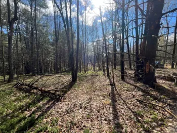 Property at 00 Old Caswell Road, Dickinson Center, NY 12930