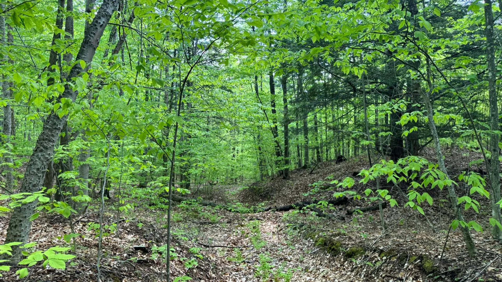 Property at 1.4 Cobble Creek Rd., Chester, NY 12853 10