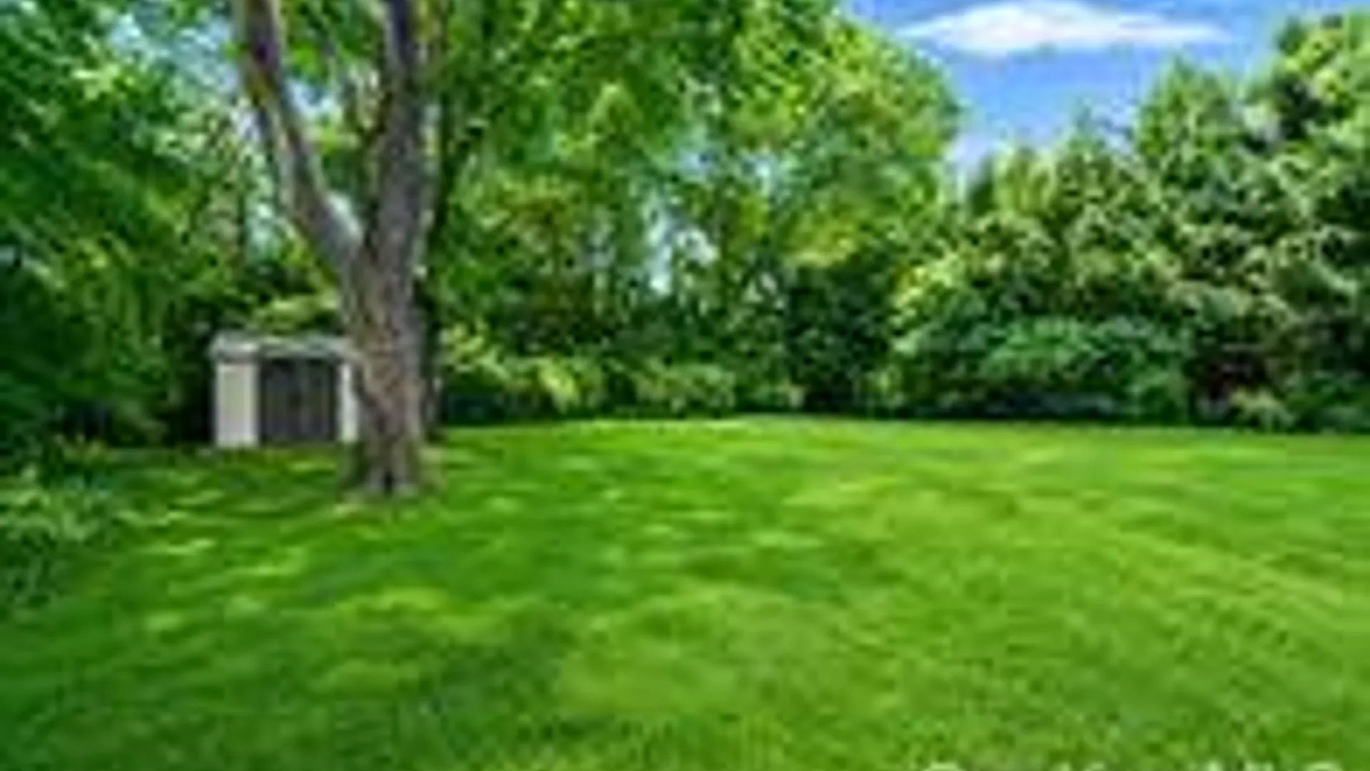 Property at 425 Old Country Rd, Deer Park, NY 11729 5