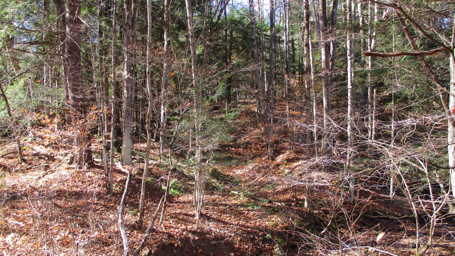 Property at Gordon Brook Road, Scio, NY 14880 17