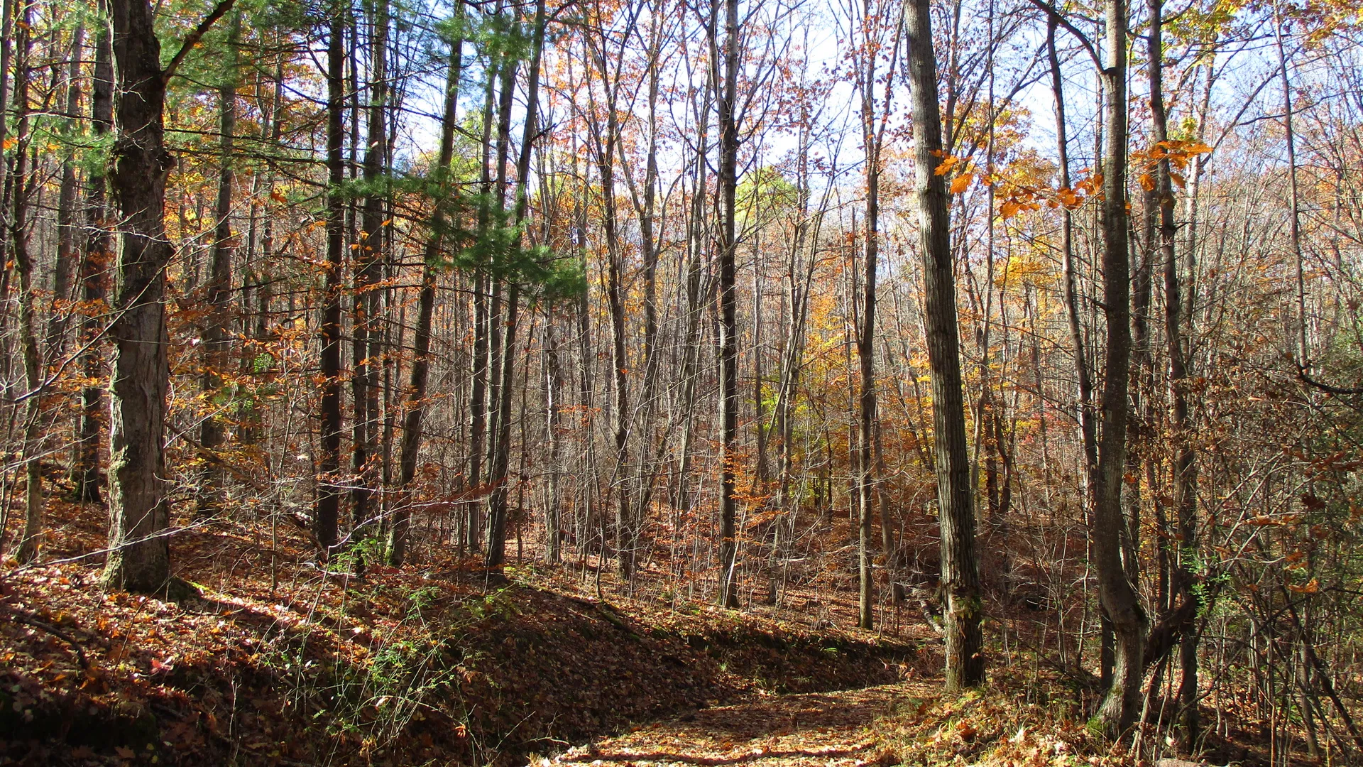 Property at Gordon Brook Road, Scio, NY 14880 2