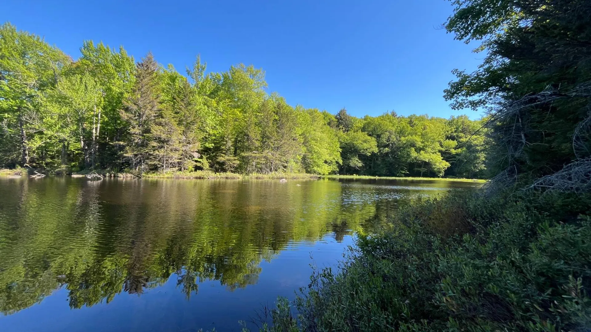 Property at 00 Chair Rock Flow, CRANBERRY LAKE, NY 12927 27