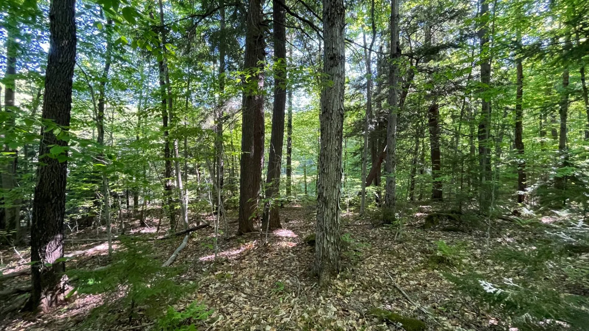 Property at 00 Chair Rock Flow, CRANBERRY LAKE, NY 12927 34
