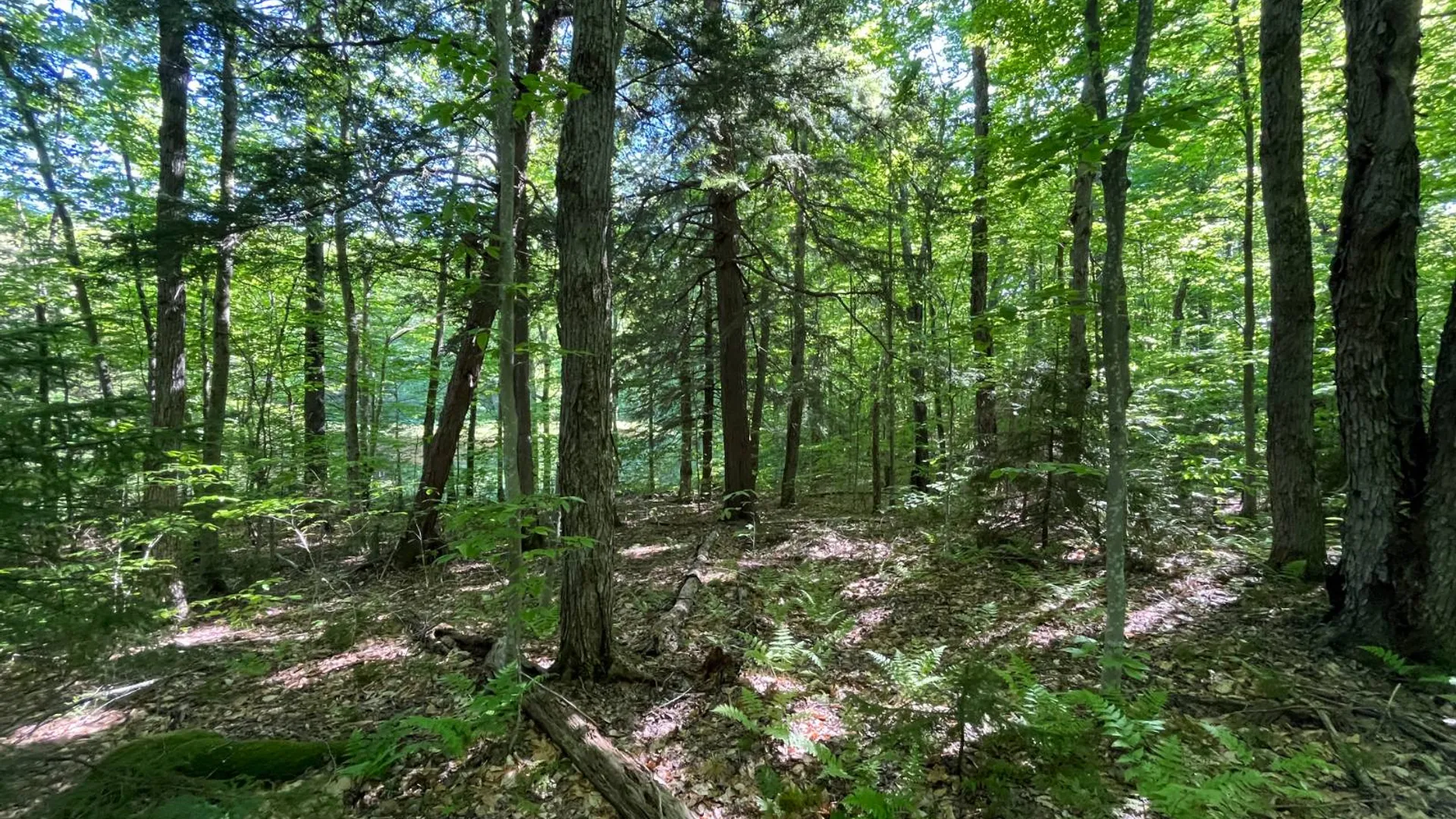 Property at 00 Chair Rock Flow, CRANBERRY LAKE, NY 12927 35