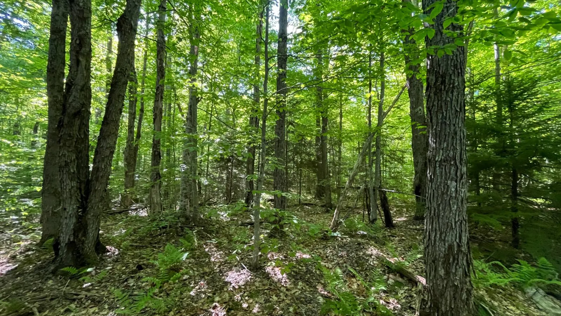 Property at 00 Chair Rock Flow, CRANBERRY LAKE, NY 12927 36