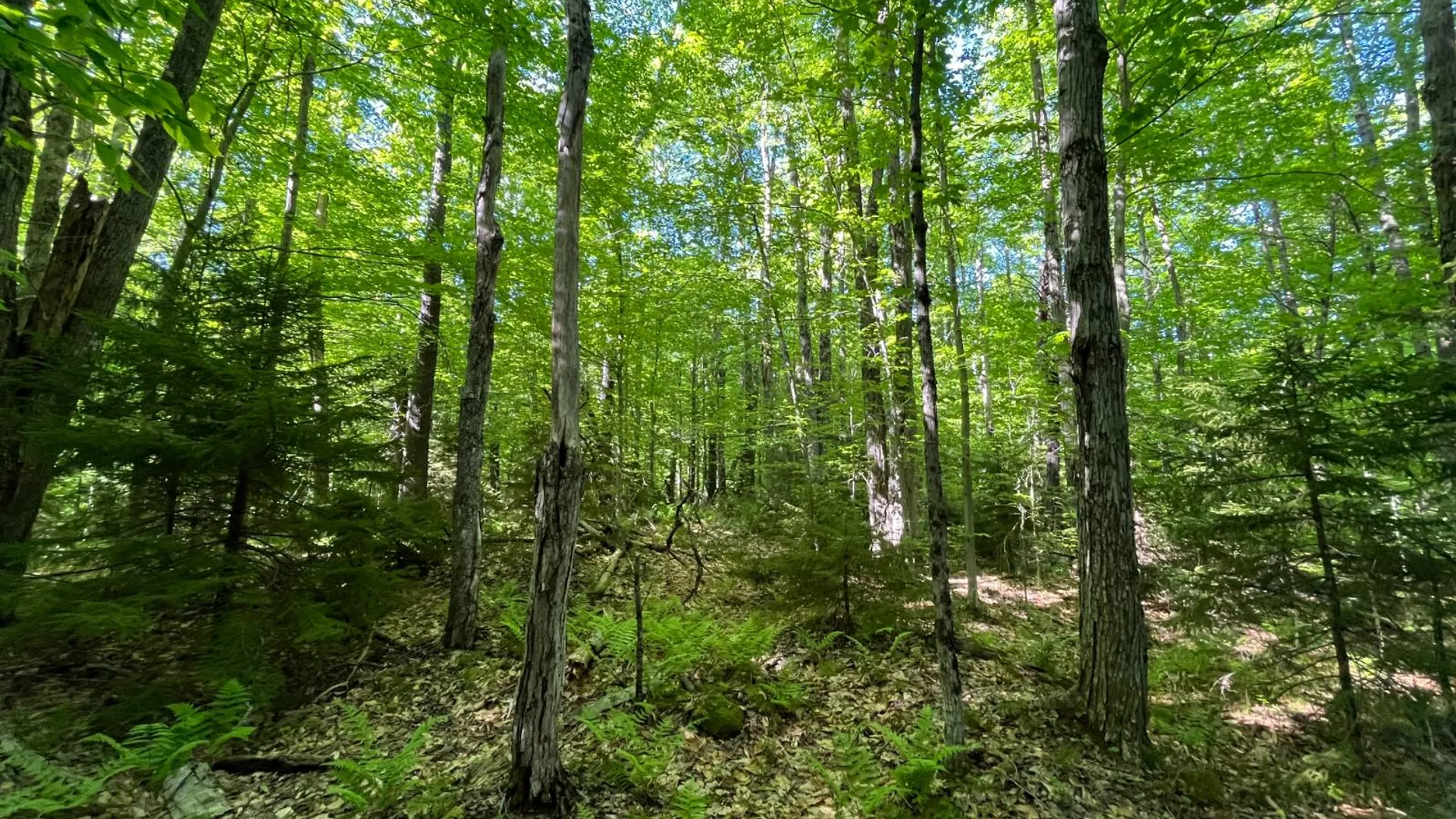 Property at 00 Chair Rock Flow, CRANBERRY LAKE, NY 12927 37