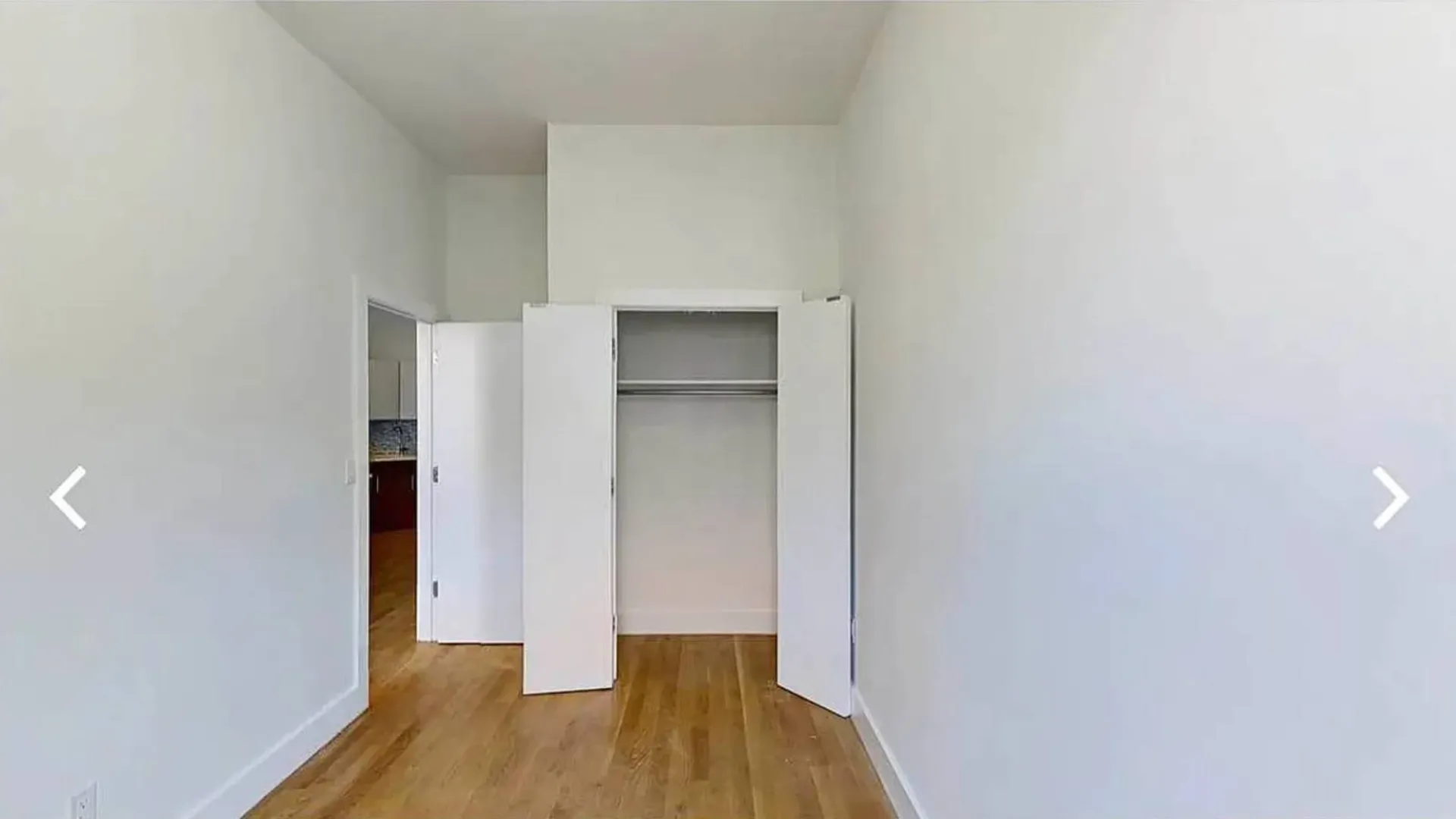 Property at 17 Goodwin Place, Bushwick, NY 11221 9