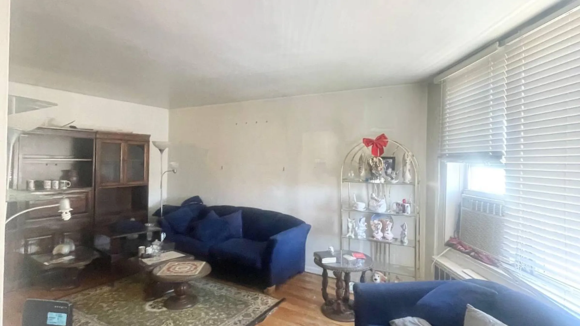 Property at 3201 Grand Concourse, Bronx, NY 10468 4