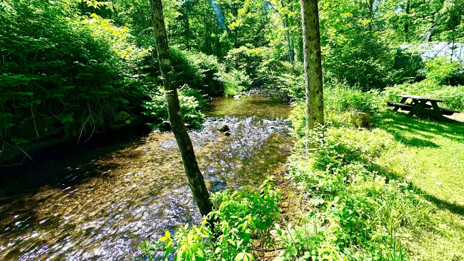Property at 39 Green Acres Campground, Hague, NY 12836 18