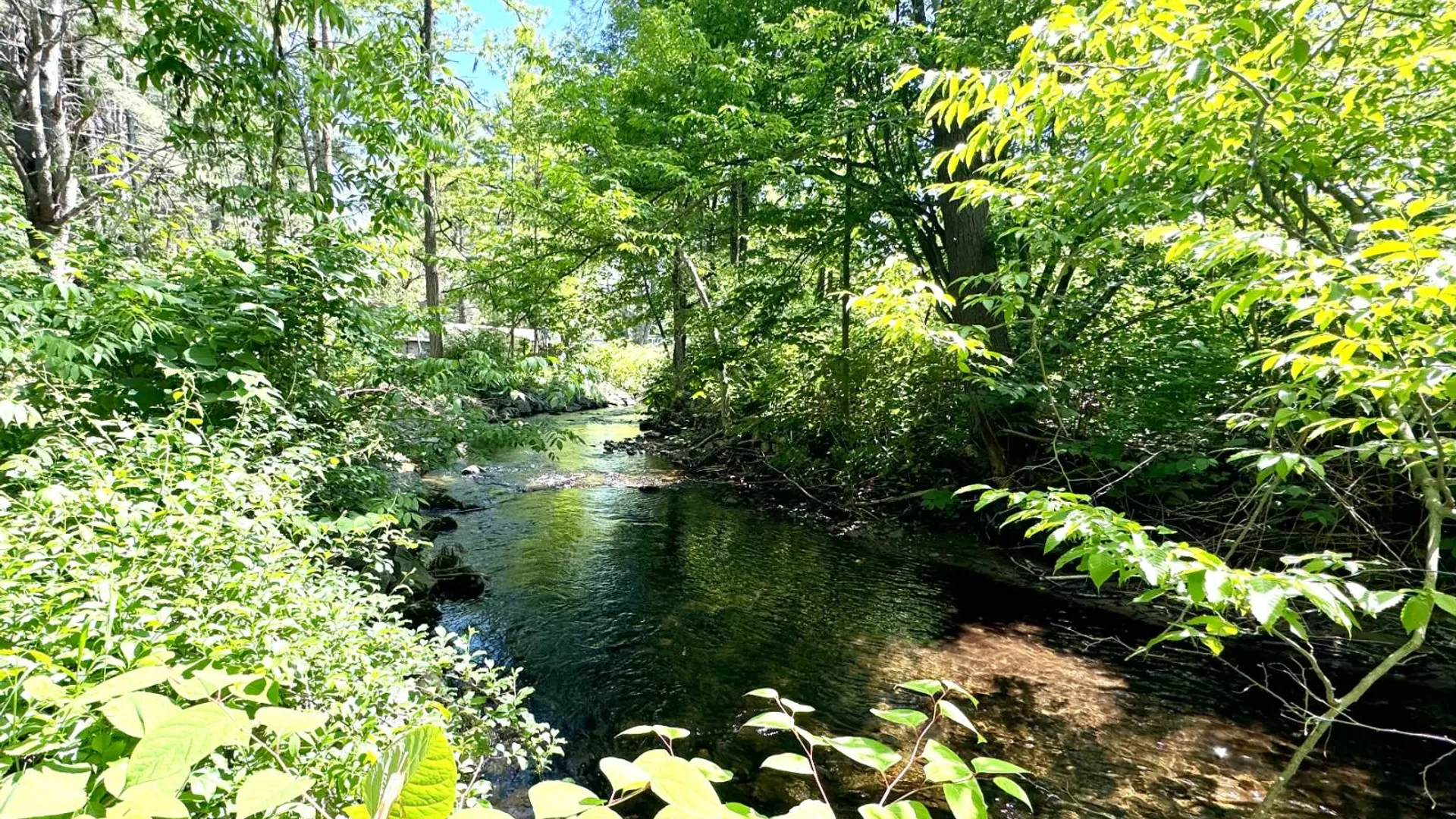 Property at 39 Green Acres Campground, Hague, NY 12836 19