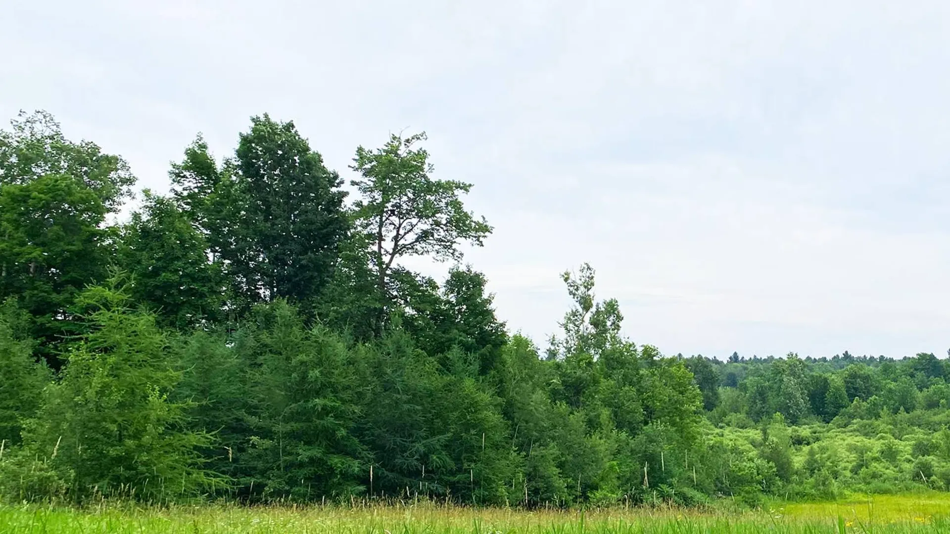 Property at 0 Off Cook Road, Norwood, NY 13668 6