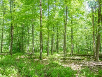 Property at 0 McCulley Hts, Davenport, NY 13750