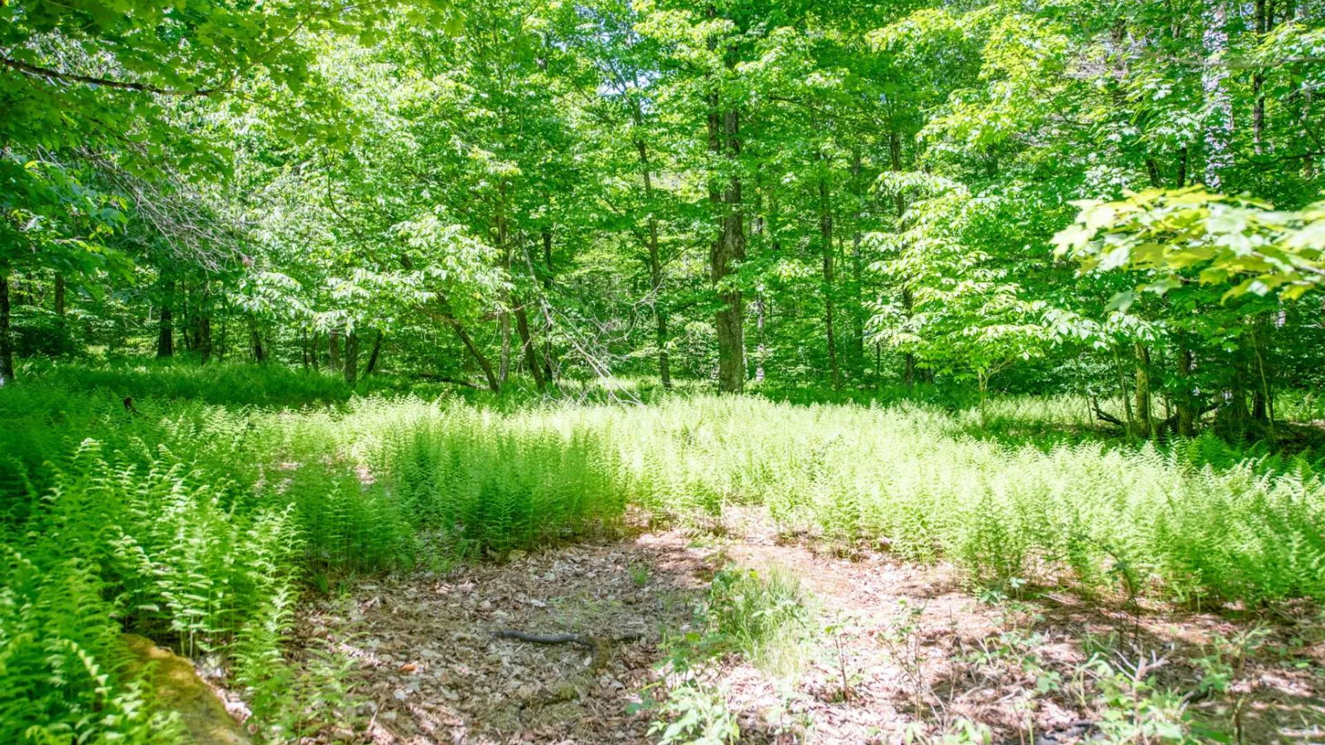 Property at 0 McCulley Hts, Davenport, NY 13750 2