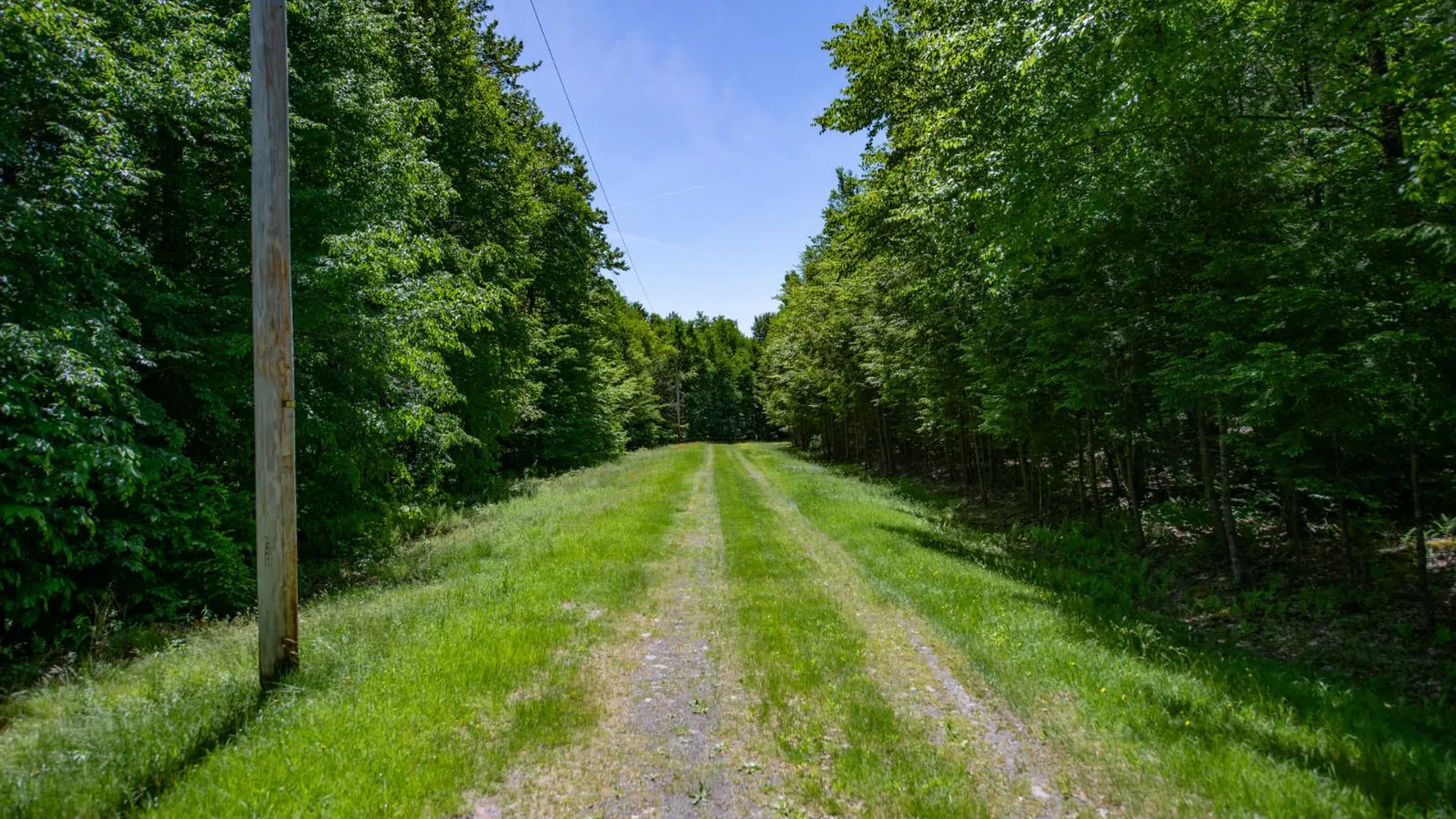 Property at 0 McCulley Hts, Davenport, NY 13750 5