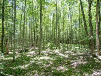 Property at 0 McCulley Hts, Davenport, NY 13750