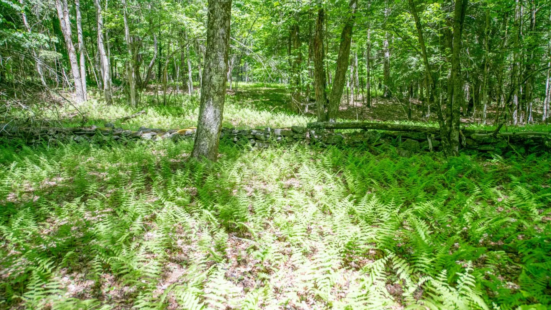 Property at 0 McCulley Hts, Davenport, NY 13750 4