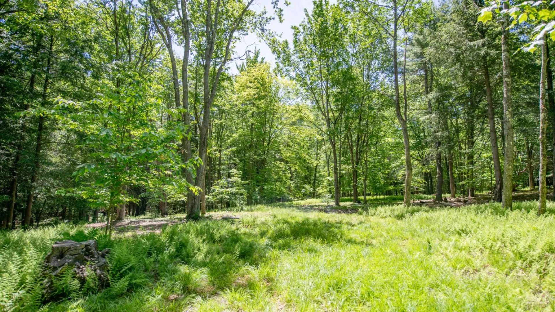Property at 0 McCulley Hts, Davenport, NY 13750 4