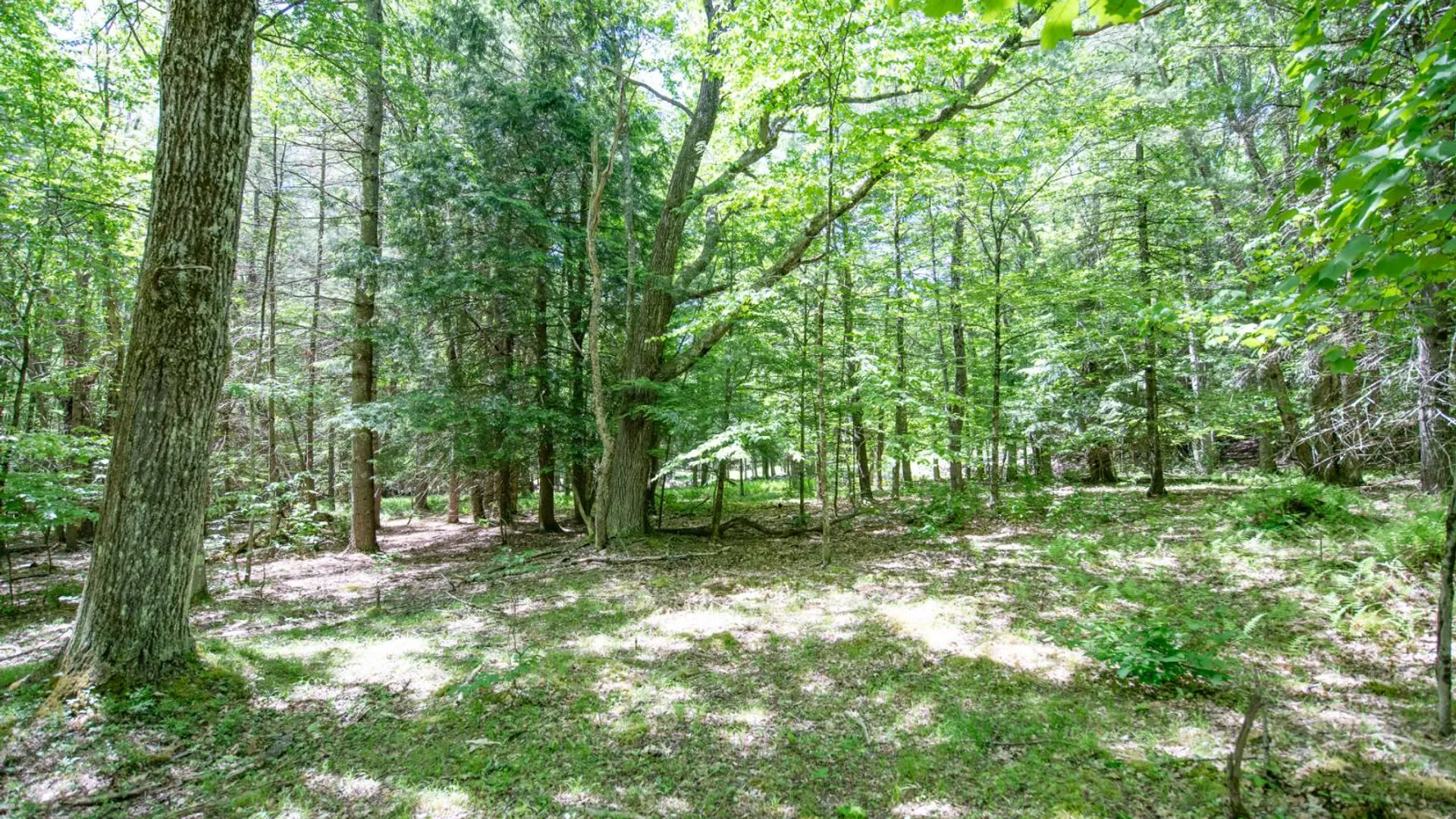 Property at 0 McCulley Heights Rd, Davenport, NY 13750 10