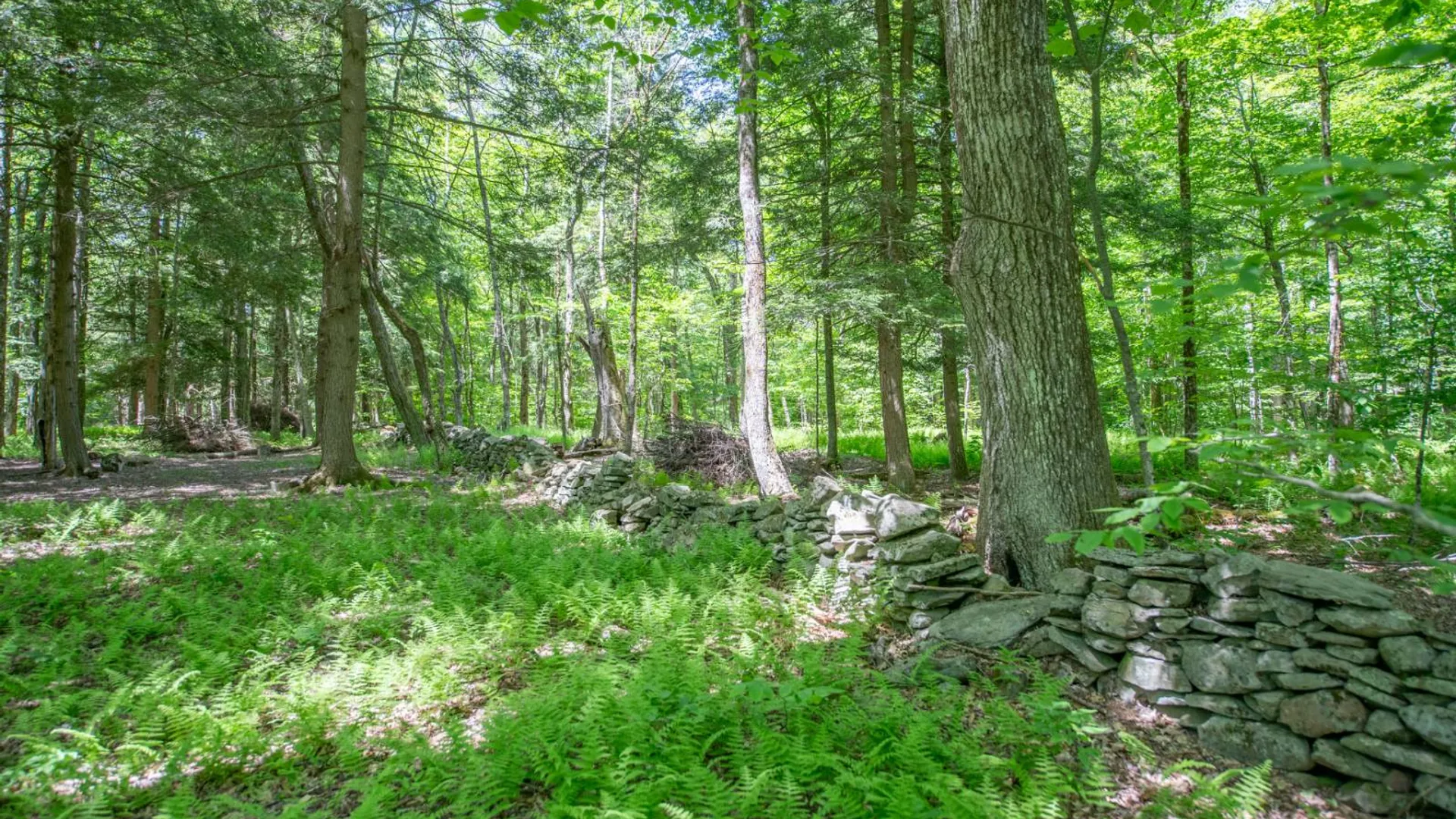 Property at 0 McCulley Heights Rd, Davenport, NY 13750 16